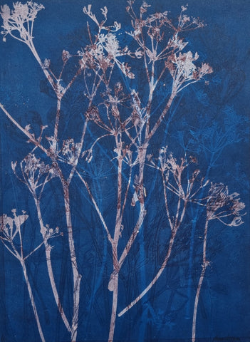 Anushiya Sundaralingam, Cow Parsley I, work on paper, 28 x 38 cm (52 X 62 cm framed)