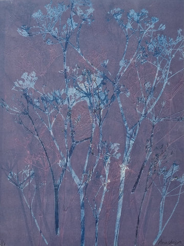 Anushiya Sundaralingam, Cow Parsley IV, work on paper, 28 x 38 cm (52 x 62 cm framed)