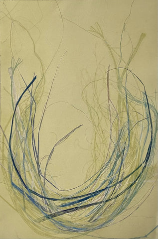 Anushiya Sundaralingam, Koodu VIII (Nest), work on paper, 35.5 x 57 cm